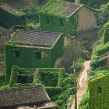 Western news application from WeChat for inspiration